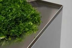 1_656021080_18571333201042261_6352640180931766305_n