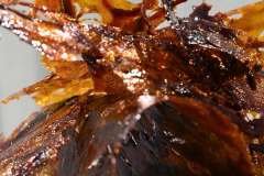 1_656169038_18571333249042261_2726968739980720381_n