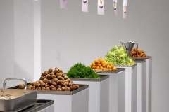 1_656274408_18022414859684743_3569726100379674240_n