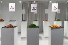 1_656414365_18571333030042261_6574504049131095134_n